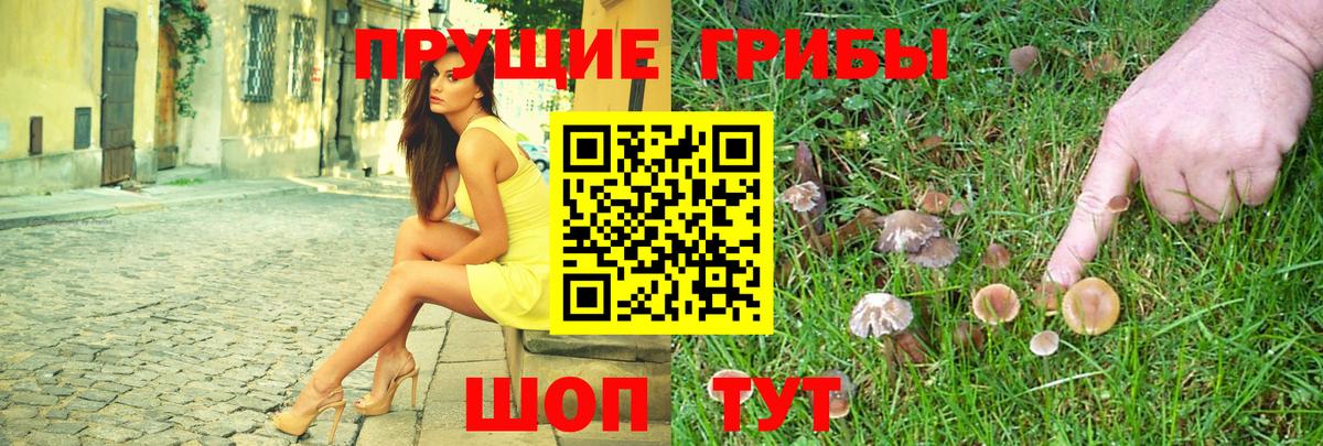 Камышин  Псилоцибиновые грибы мицелий  Вход с VPN 